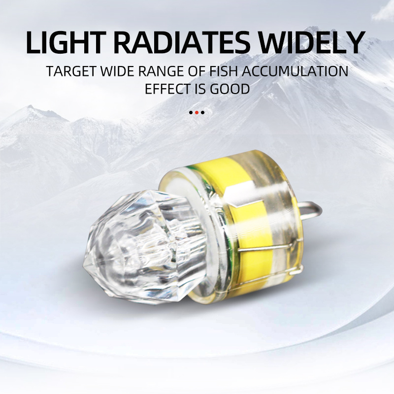 ShareShark 5 個 LED 釣りランプ水中ダイヤモ - Fishing Boat Navigation Light のレビューと価格